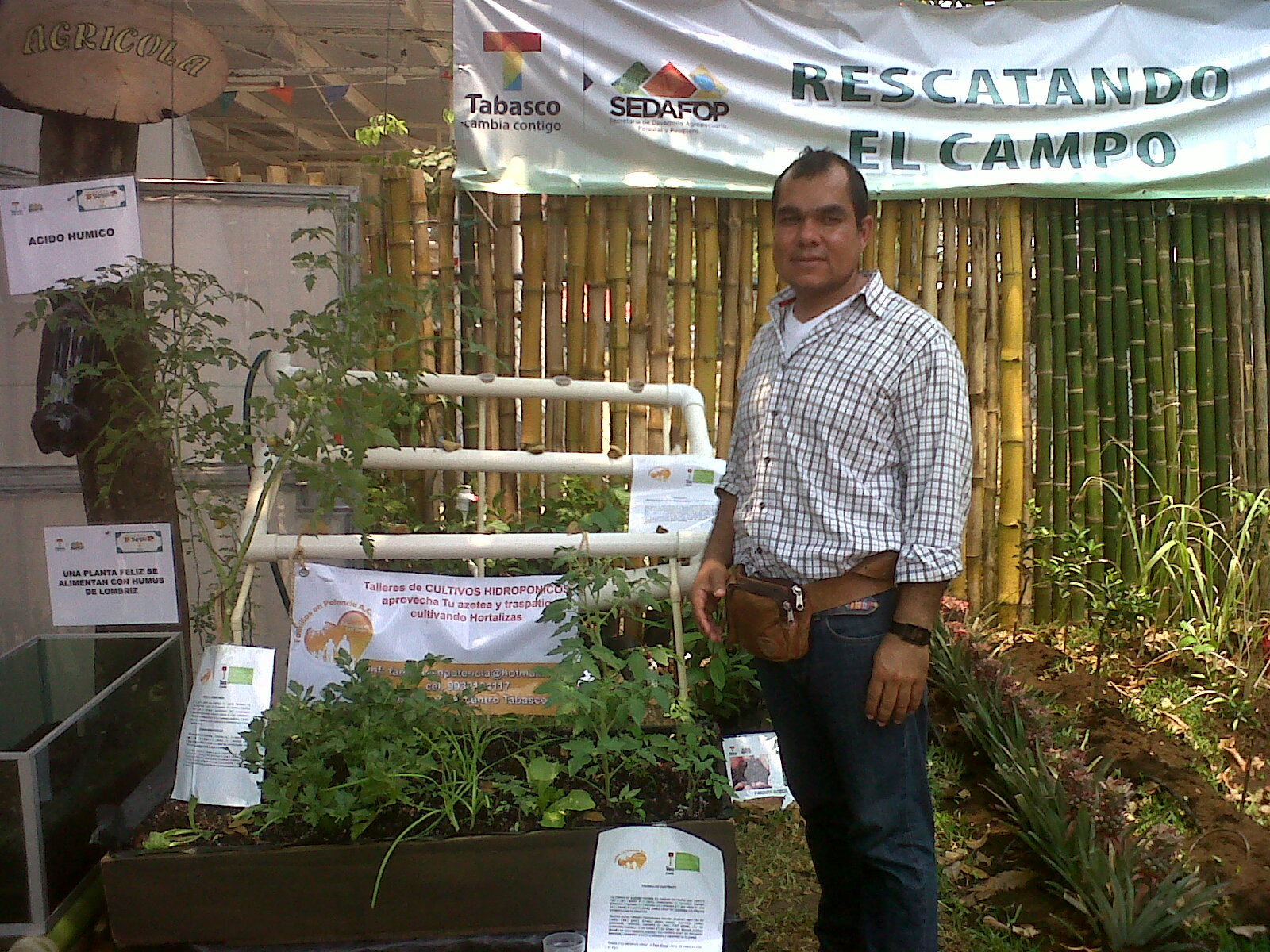 Agricultura urbana